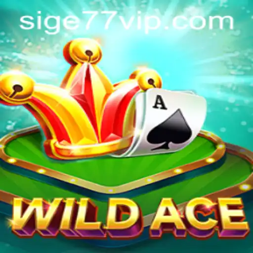 The Thrilling World of WildAce: Unveiling Sige77